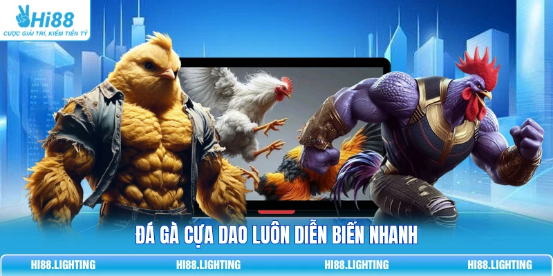 Đá Gà Cựa Dao - Đặc Điểm Của Loại Hình Giải Trí Hấp Dẫn Đá gà cựa dao luôn diễn biến nhanh