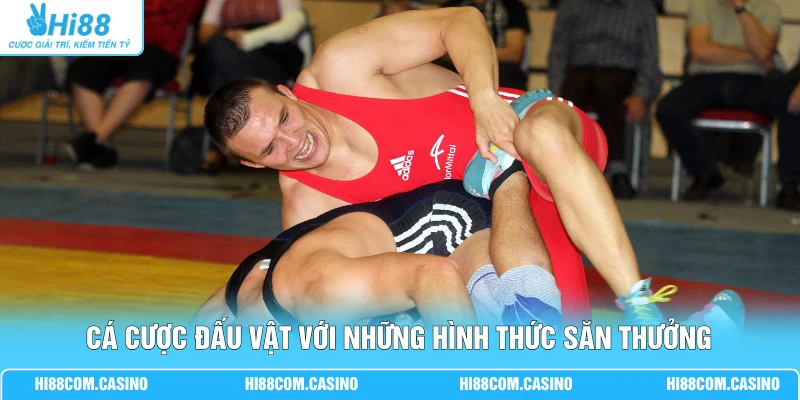Cá Cược Đấu Vật - 3 Phút Thắng Đậm Nhận Về Thưởng Lớn Cá cược đấu vật với những hình thức săn thưởng