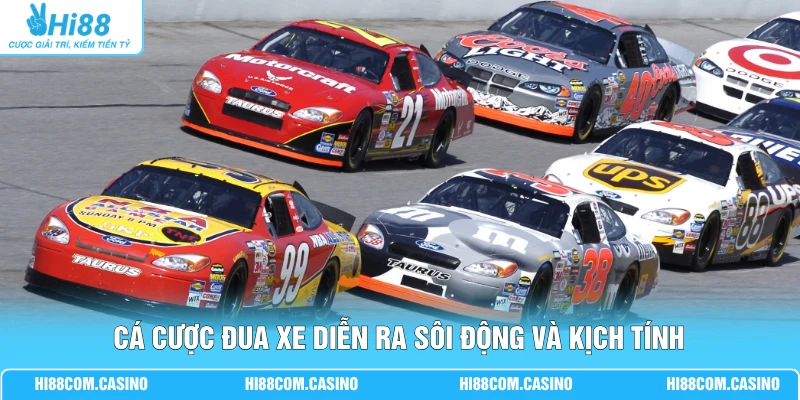 Cá Cược Đua Xe - Hướng Dẫn Luật Chơi Và 5 Loại Kèo Hay Cá cược đua xe diễn ra sôi động và kịch tính