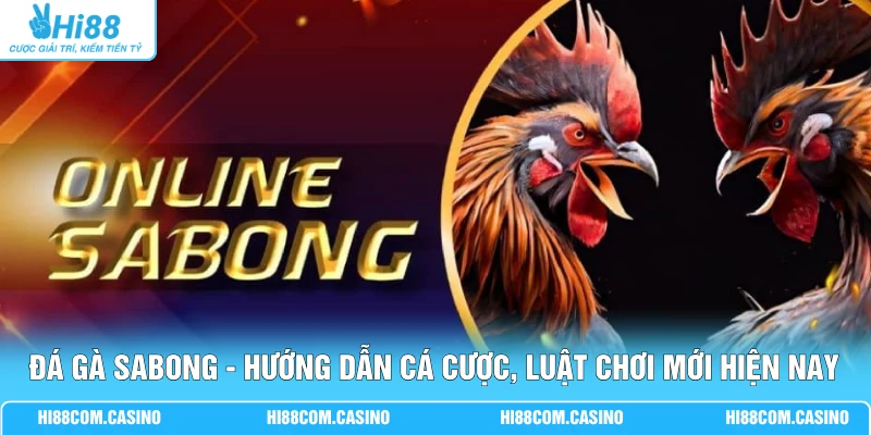 Đá Gà Sabong - Hướng Dẫn Cá Cược, Luật Chơi Mới Hiện Nay Đá Gà Sabong - Hướng Dẫn Cá Cược, Luật Chơi Mới Hiện Nay