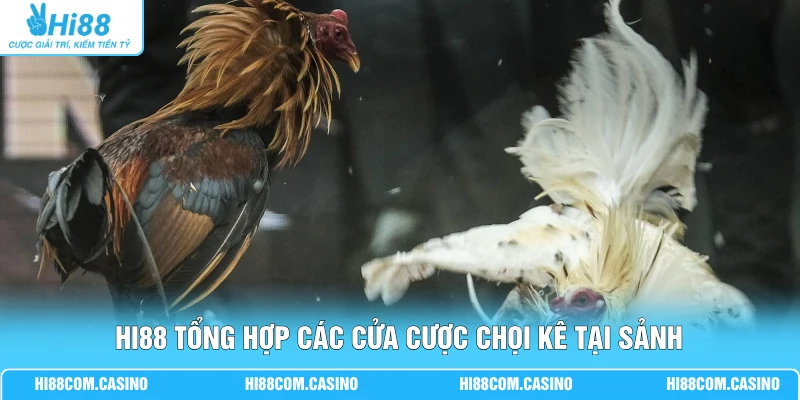 ODIN Đá Gà Sôi Động Cùng 36 Trận Đấu Mỗi Ngày Tại Hi88 Hi88 tổng hợp các cửa cược chọi kê tại sảnh